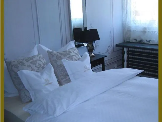 Goldner Engel, Restaurant - - Metzgerei Hotel