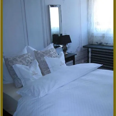 Hotel Goldner Engel, Restaurant - - Metzgerei