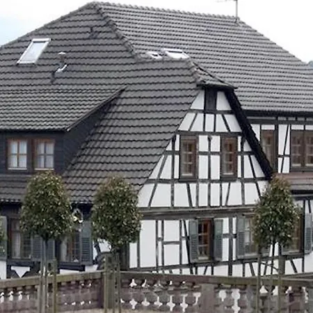 酒店 格尔内恩格尔餐厅酒店梅兹格雷店 Laudenbach (Bavaria)